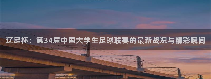 辽足杯：第34届中国大学生足球联赛的