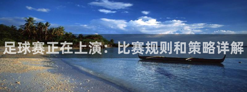 足球赛正在上演：比赛规则和策略详解