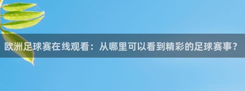 欧洲足球赛在线观看：从哪里可以看到精