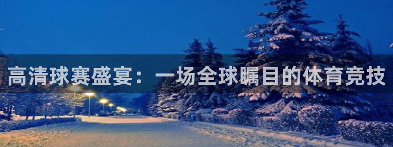 高清球赛盛宴：一场全球瞩目的体育竞技