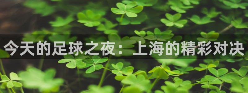 今天的足球之夜：上海的精彩对决