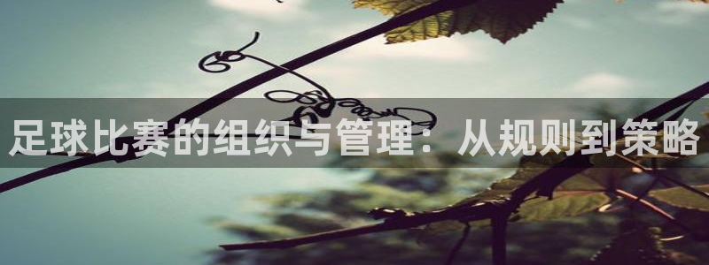 足球比赛的组织与管理：从规则到策略