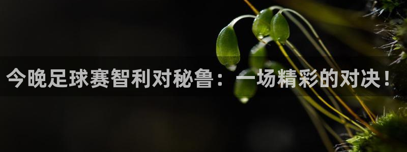  今晚足球赛智利对秘鲁：一场精彩的对决！