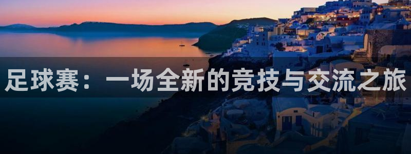 足球赛：一场全新的竞技与交流之旅