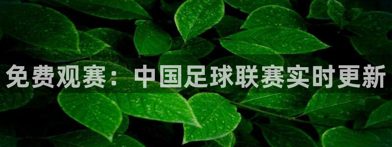  免费观赛：中国足球联赛实时更新