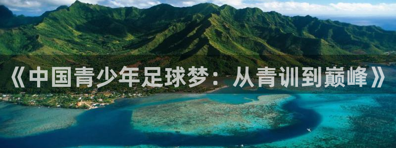  《中国青少年足球梦：从青训到巅峰》