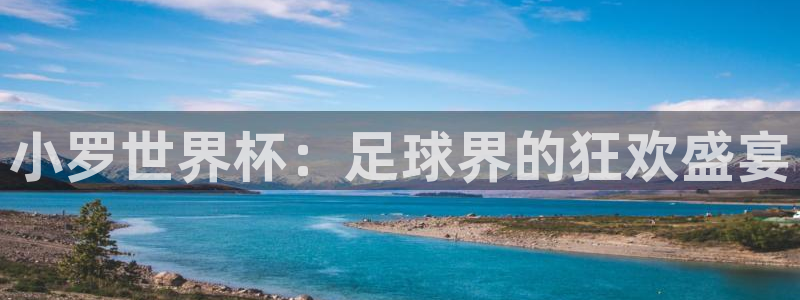 小罗世界杯：足球界的狂欢盛宴