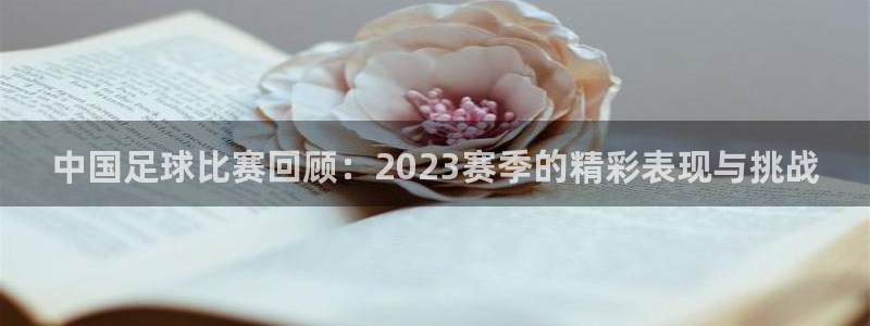  中国足球比赛回顾：2023赛季的精彩表现与挑战