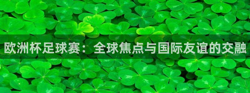  欧洲杯足球赛：全球焦点与国际友谊的交融