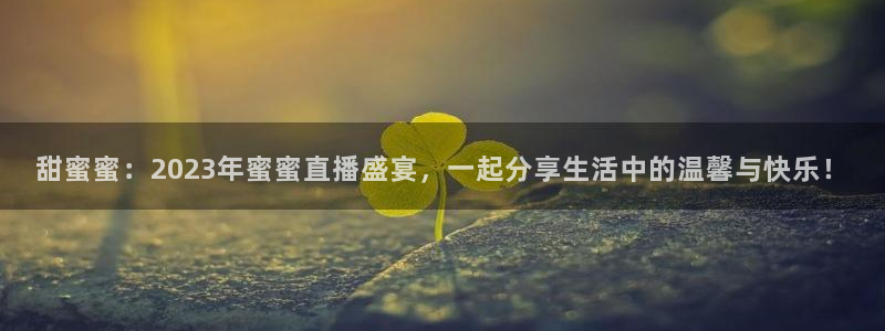 新雨燕足球直播