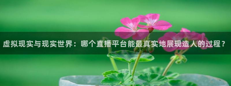 nba雨燕直播免费观看直播软件：虚拟现实与现实世界：哪个直播平台能最真实地展现造人的过程？