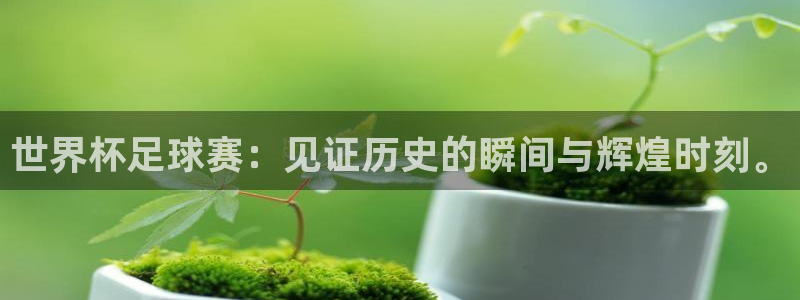 世界杯足球赛：见证历史的瞬间与辉煌时