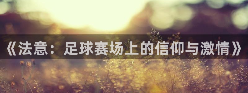 《法意：足球赛场上的信仰与激情》