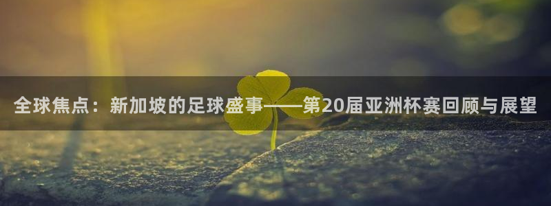 全球焦点：新加坡的足球盛事——第20