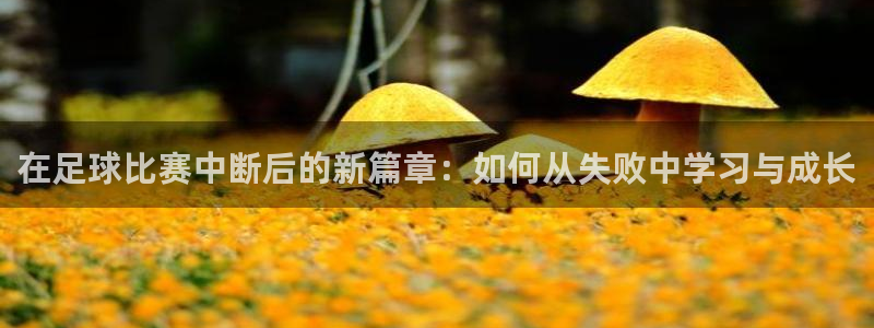 在足球比赛中断后的新篇章：如何从失败