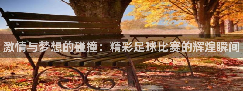 激情与梦想的碰撞：精彩足球比赛的辉煌瞬间