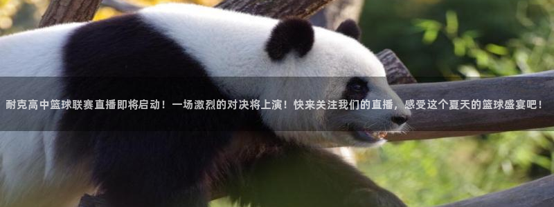 新360雨燕直播：耐克高中篮球联赛直播即将启动！一场激烈的对决将上演！快来关注我们的直播，感受这个夏天的篮球盛宴吧！