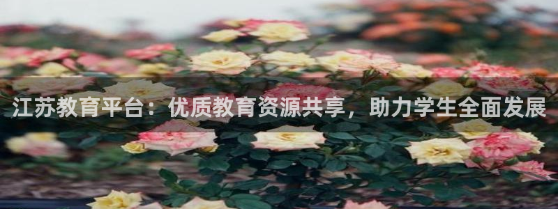 雨燕篮球比赛直播：江苏教育平台：优质教育资源共享，助力学生全面发展