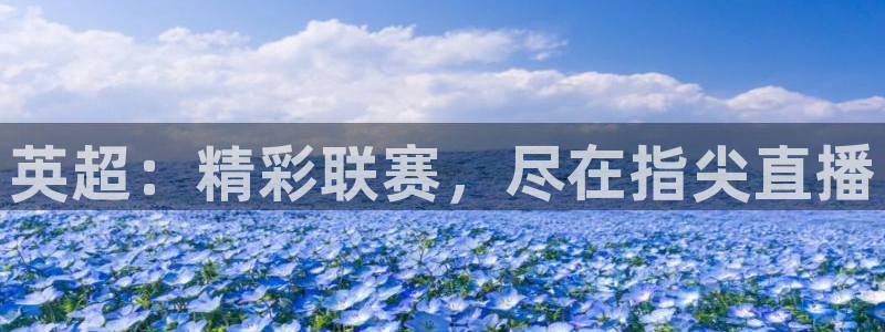 360足球直播视频雨燕：英超：精彩联赛，尽在指尖直播