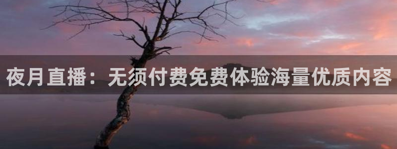 新雨燕足球直播平台：夜月直播：无须付费免费体验海量优质内容
