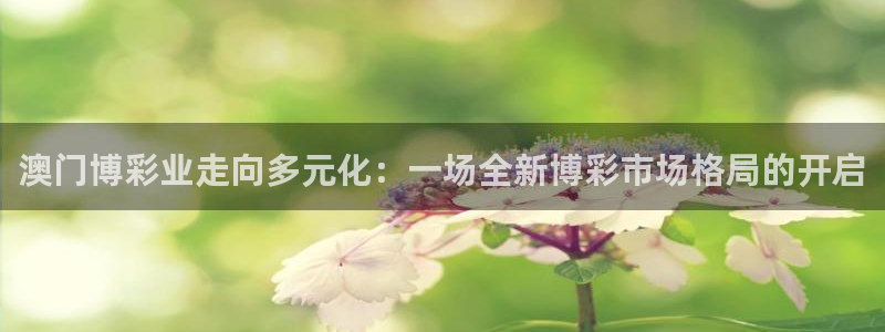 360足球雨燕直播：澳门博彩业走向多元化：一场全新博彩市场格局的开启