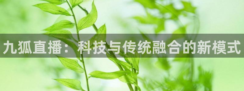 雨燕足球在线直播免费：九狐直播：科技与传统融合的新模式