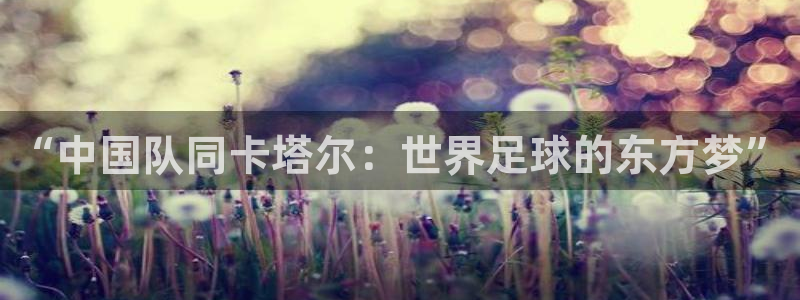 360体育直播雨燕直播：“中国队同卡塔尔：世界足球的东方梦”