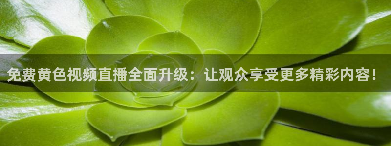 雨燕直播nba高清版：免费黄色视频直播全面升级：让观众享受更多精彩内容！