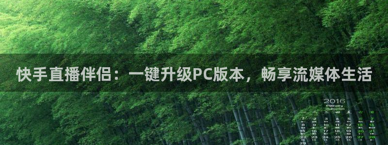 新雨燕直播体育：快手直播伴侣：一键升级PC版本，畅享流媒体生活