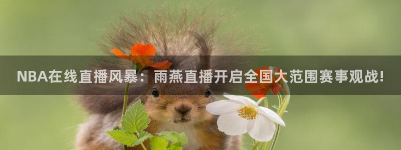 雨燕体育赛事在线直播：NBA在线直播风暴：雨燕直播开启全国大范围赛事观战!