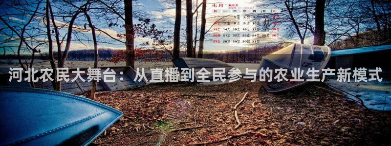 雨燕足球直播免费：河北农民大舞台：从直播到全民参与的农业生产新模式