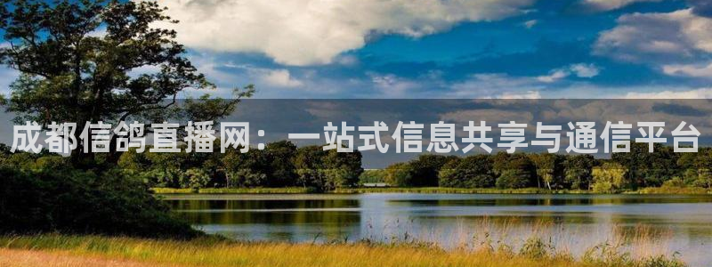 nba在线观看直播免费雨燕：成都信鸽直播网：一站式信息共享与通信平台