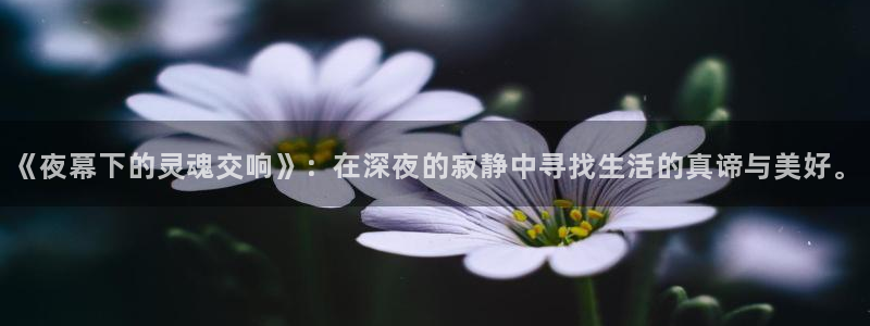雨燕360直播：《夜幕下的灵魂交响》：在深夜的寂静中寻找生活的真谛与美好。