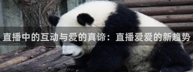 雨燕360体育免费直播链接：直播中的互动与爱的真谛：直播爱爱的新趋势