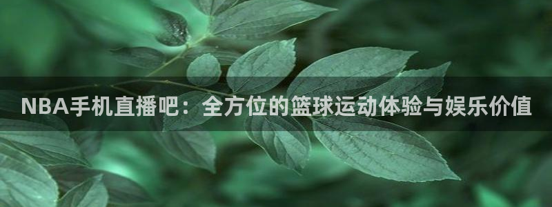 雨燕体育直播高清：NBA手机直播吧：全方位的篮球运动体验与娱乐价值